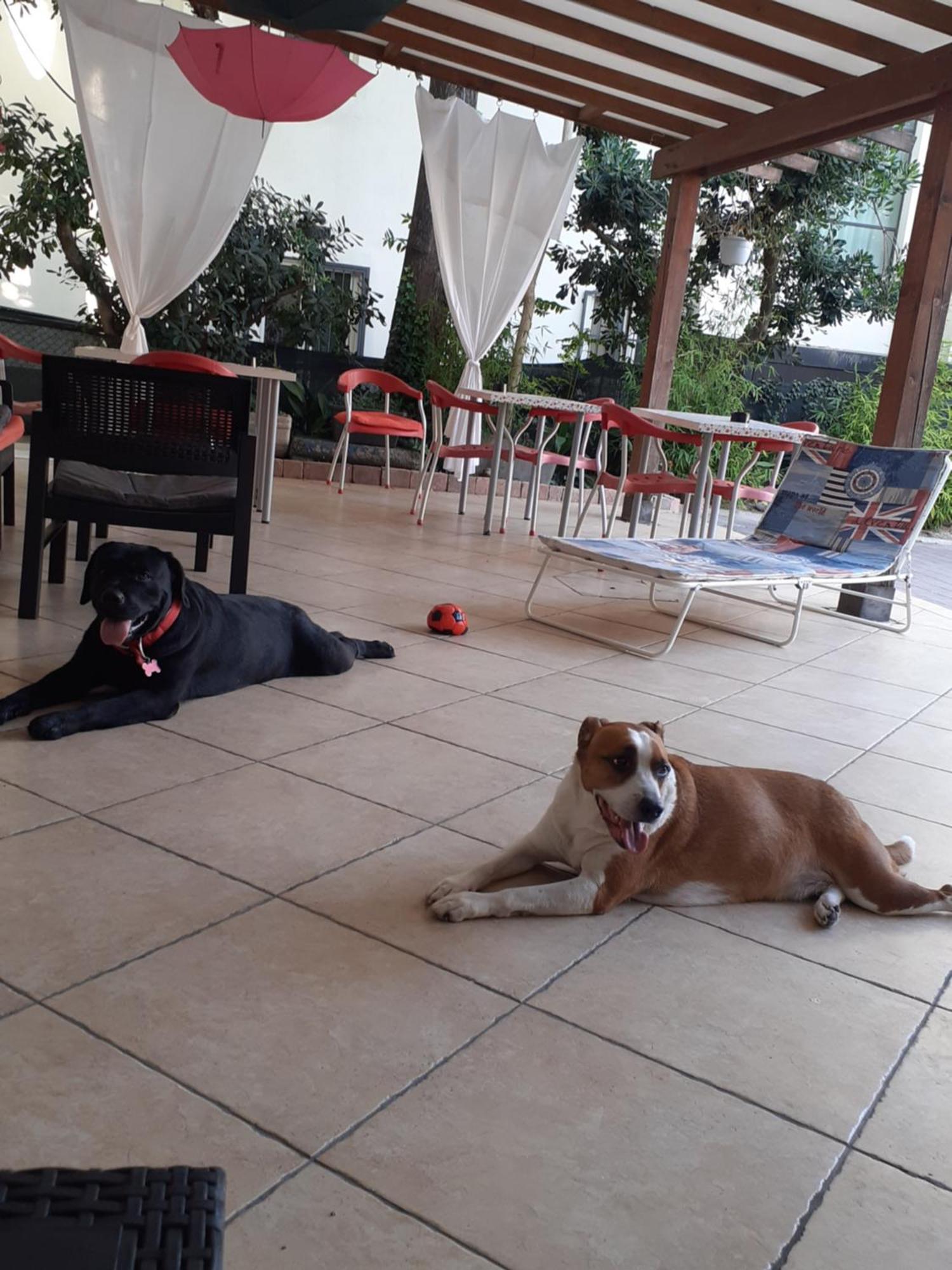Hotel Migani Ρίμινι Εξωτερικό φωτογραφία